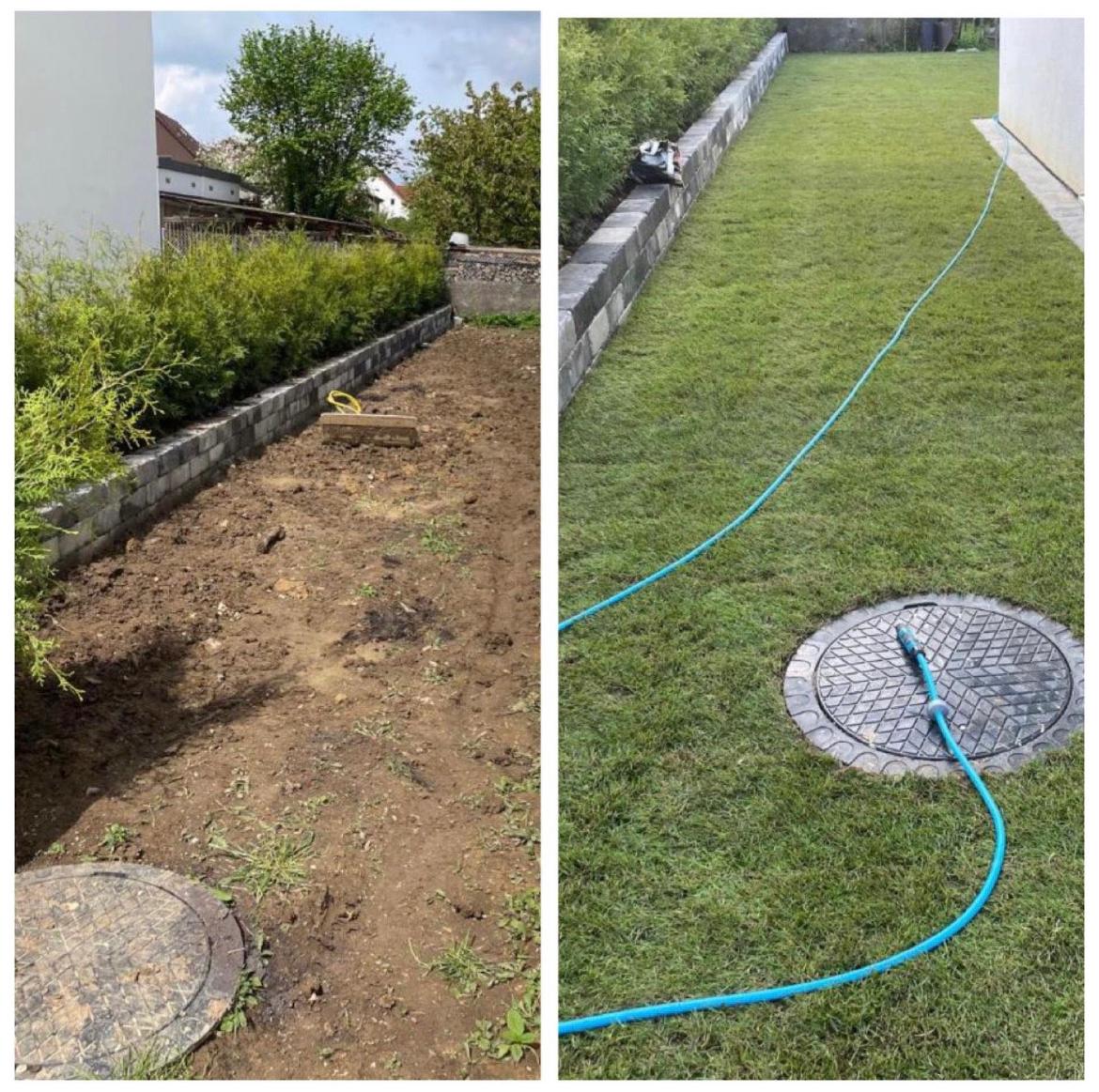 Gartenpflege – gepflegter Rasen