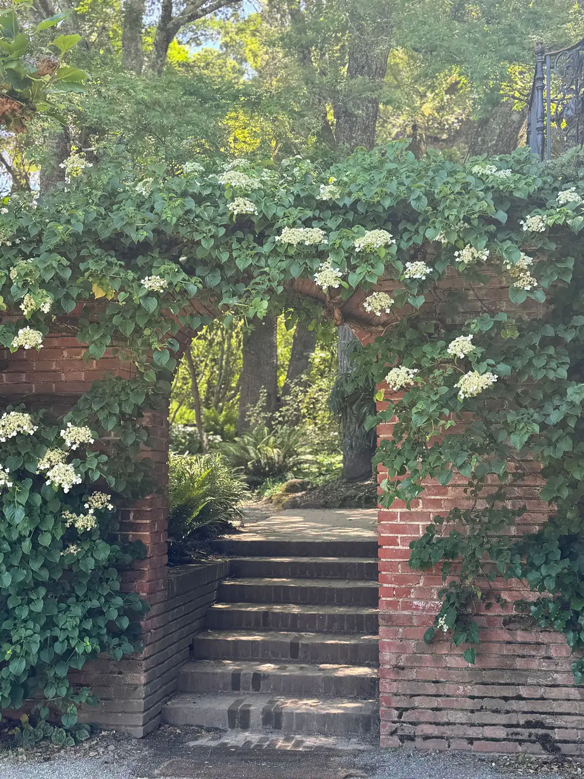 Blühender Garten mit Steintreppe unter einem Rosenbogen